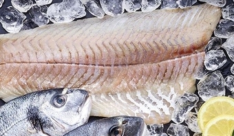 Biedronka Dorsz oferta