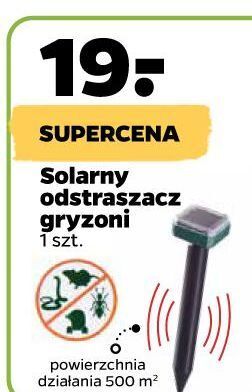 Netto Odstraszacz gryzoni solarny oferta