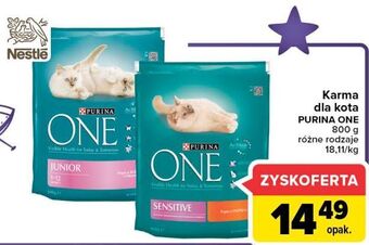 Carrefour Karma dla kota sensitive z indykiem Purina One oferta