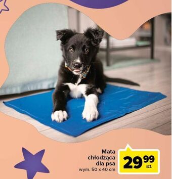 Carrefour Mata chłodząca dla psa 50 x 40 cm oferta