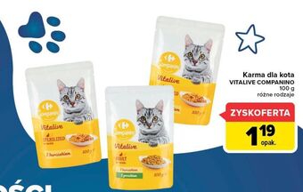 Carrefour Karma dla kota z kurczakiem Carrefour Companino oferta