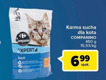 Carrefour Karma dla kota expert Carrefour Companino oferta
