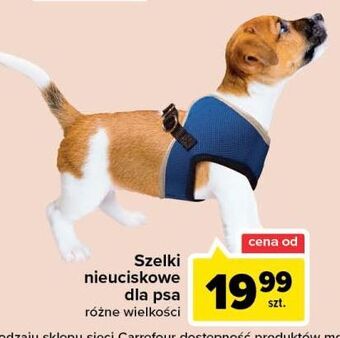 Carrefour Szelki dla psa oferta