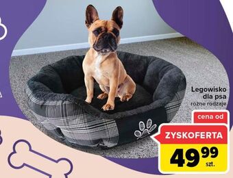 Carrefour Legowisko dla psa oferta