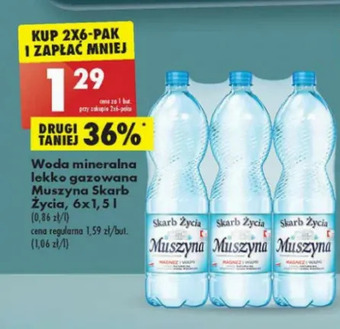 Biedronka Woda lekko gazowana Muszyna Skarb Życia oferta