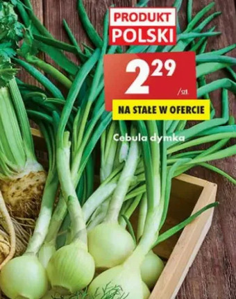Biedronka Cebula dymka oferta