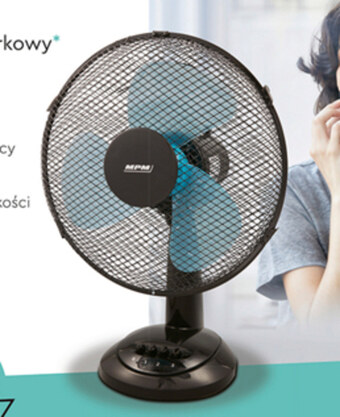 Biedronka Wentylator oferta