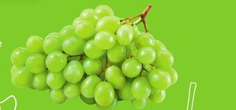 ALDI Winogrona oferta
