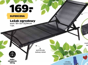 Netto Leżak ogrodowy oferta