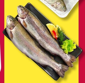 ALDI Pstrąg tęczowy BBQ oferta