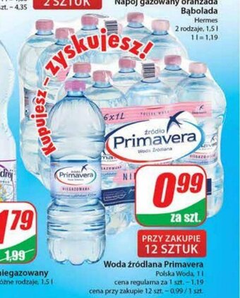 Dino Woda źródlana Primavera 1l oferta