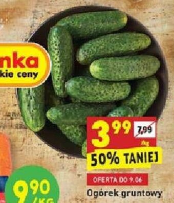 Biedronka Ogórek gruntowy 1kg oferta