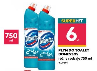 Dealz Płyn do wc atlantic Domestos oferta
