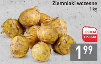 Stokrotka Market Ziemniaki oferta