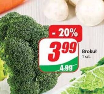 Dino Brokuł oferta