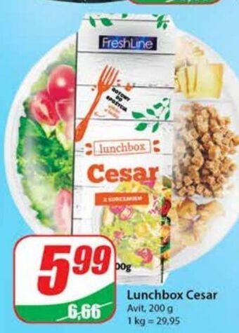 Dino Sałatka cesar Freshline oferta