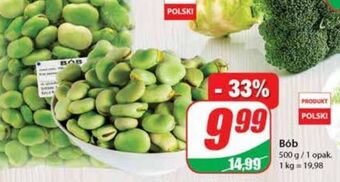 Dino Bób oferta