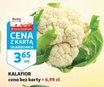 Auchan Kalafior oferta