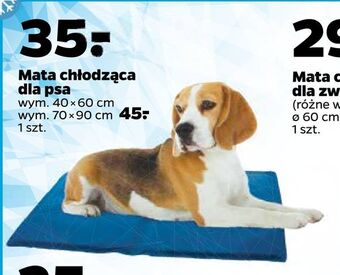 Netto Mata chłodząca dla psa oferta