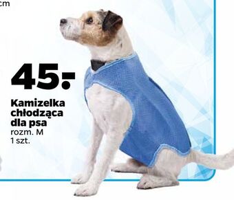Netto Kamizelka chłodząca dla psa oferta