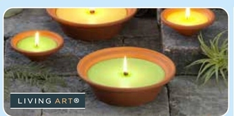 ALDI Świeca oferta
