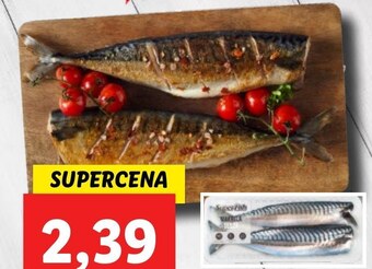 Lidl Makrela oferta