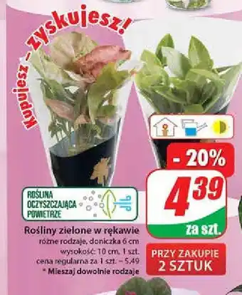 Polomarket Rośliny zielone 1 SZT oferta