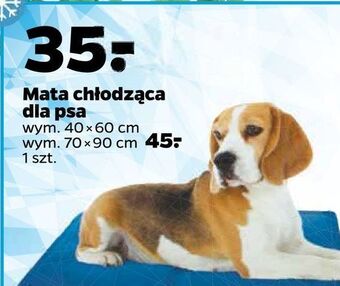 Netto Mata chłodząca dla psa 40 x 60 cm oferta