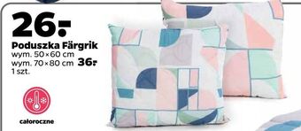 Netto Poduszka fargrik 70 x 80 cm oferta