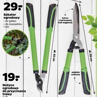 Netto Sekator do gałęzi oferta