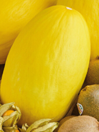 Biedronka Melon oferta