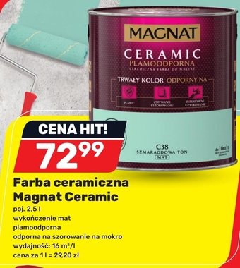 Bricomarche Farba Magnat oferta
