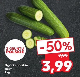 Kaufland Ogórek oferta