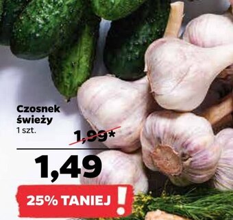 Netto Czosnek świeży 1 szt. oferta