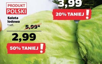 Netto Sałata lodowa oferta