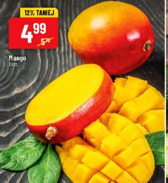 Polomarket Mango 1 szt. oferta