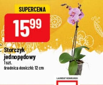 Polomarket Storczyk jednopędowy oferta