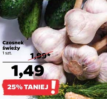 Netto Czosnek oferta