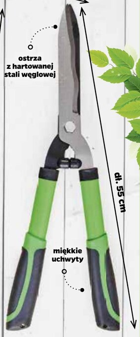 Netto Sekator ogrodowy oferta