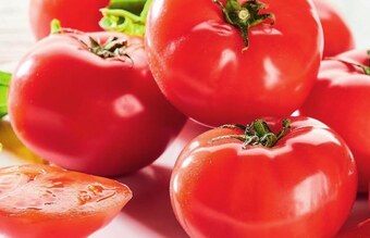 Makro Pomidory oferta
