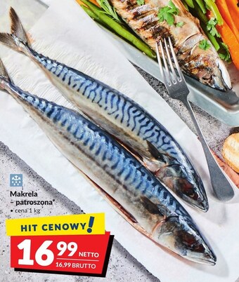 Makro Makrela oferta