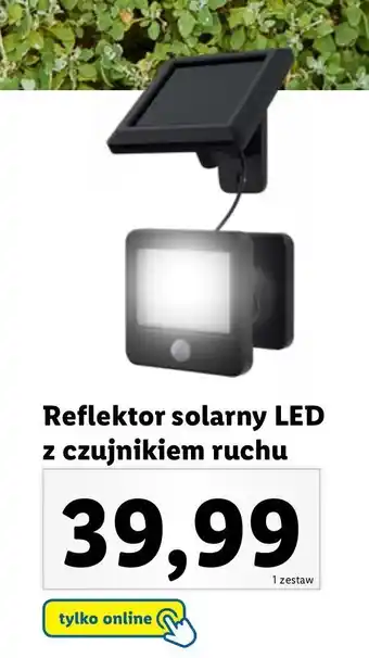 Lidl Reflektor solarny led z czujnikiem ruchu oferta