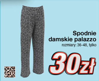 KiK Spodnie damskie KIK oferta