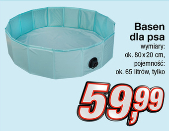 Basen dla psów