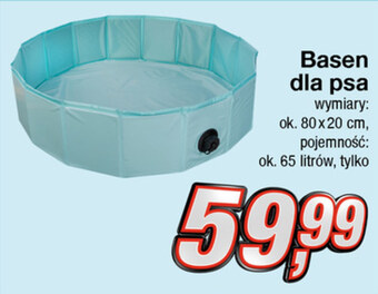 Basen dla psów