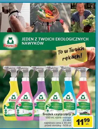 Rossmann Płyn do czyszczenia kabin prysznicowych winogronowy oferta