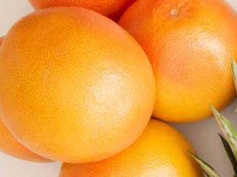 Lidl Grejpfrut oferta