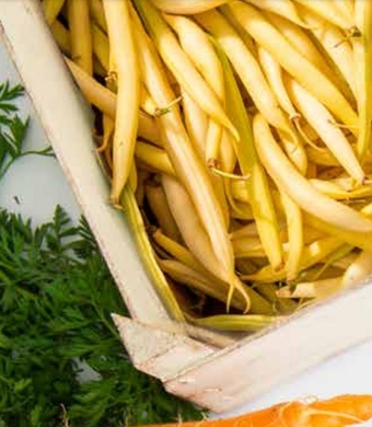 Lidl Fasolka szparagowa oferta