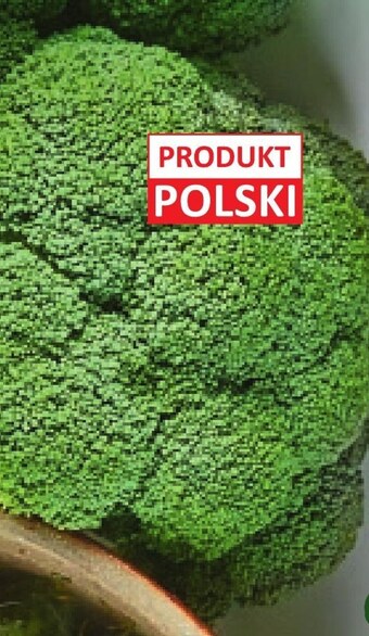 Netto Brokuł oferta