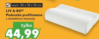 Kaufland Poduszka Liv & BO oferta